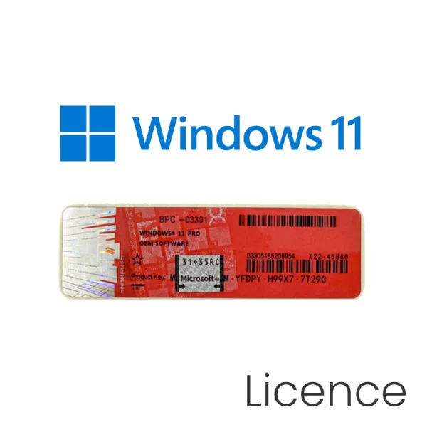 Licence Windows 11 pro 64 bits OEM