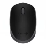 Souris Optique Sans Fil M171 Noir