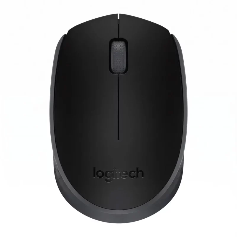 Souris Optique Sans Fil M171 Noir