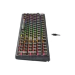 Clavier Mécanique Gaming HAVIT KB875L