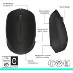 Souris Sans Fil Logitech M171 6