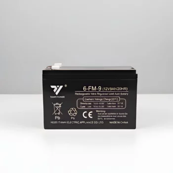 batterie onduleur 12V 9AH Tianyi
