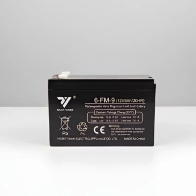 batterie onduleur 12V 9AH Tianyi