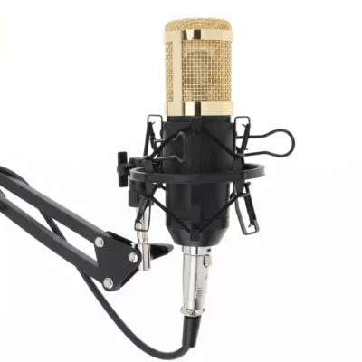 Microphone BM 800 à condensateur pour enregistrement studio et streaming