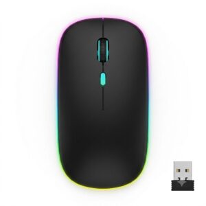 Souris Dual Mode W10 sans fil et Bluetooth rechargeable Algérie